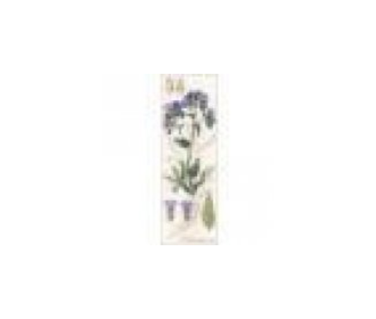 RIOLIS Counted Cross Stitch Kit 4"X11.75" --- Pulmonaria (18 Count)