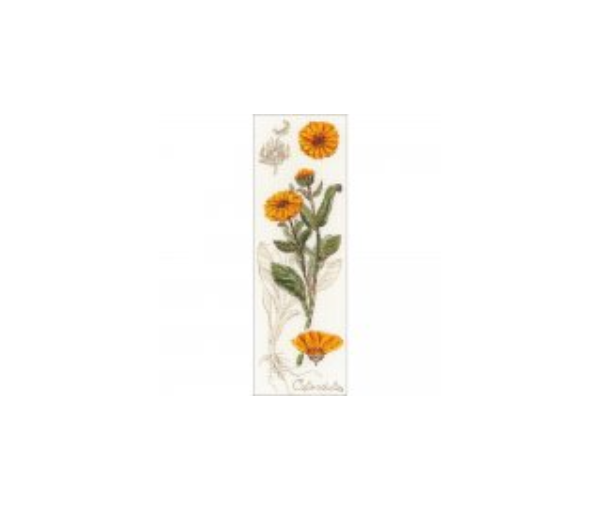 RIOLIS Counted Cross Stitch Kit 4"X11.75" --- Calendula (18 Count)