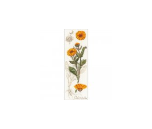 RIOLIS Counted Cross Stitch Kit 4"X11.75" --- Calendula (18 Count)