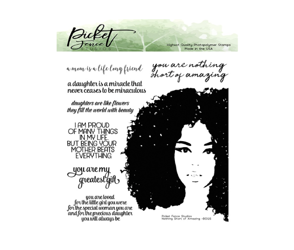 Picket Fence Studios 6"X6" Stamp Set-Nothing Short Of Amazing